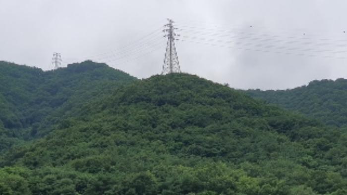 경상남도 창원시 마산합포구 진동면 태봉리 산125 임야 경매 사진 5