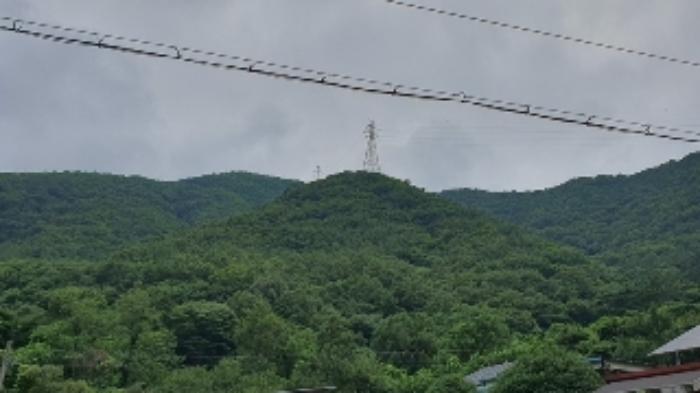경상남도 창원시 마산합포구 진동면 태봉리 산125 임야 경매 사진 6