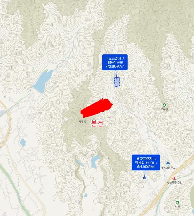 경상남도 창원시 마산합포구 진동면 태봉리 산125 임야 경매 사진 8
