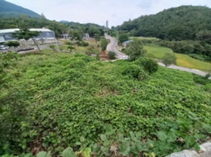 경상남도 산청군 금서면 매촌리 1117-2 답 경매 사진 20