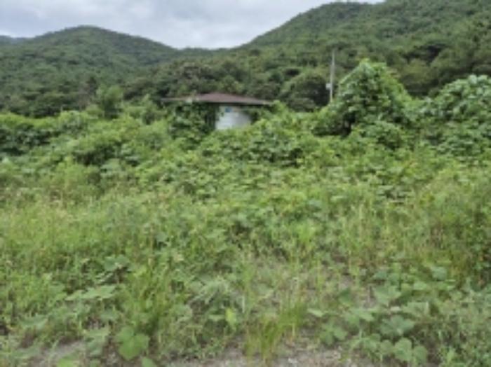 경상남도 고성군 동해면 용정리 695 공장 경매 사진 76