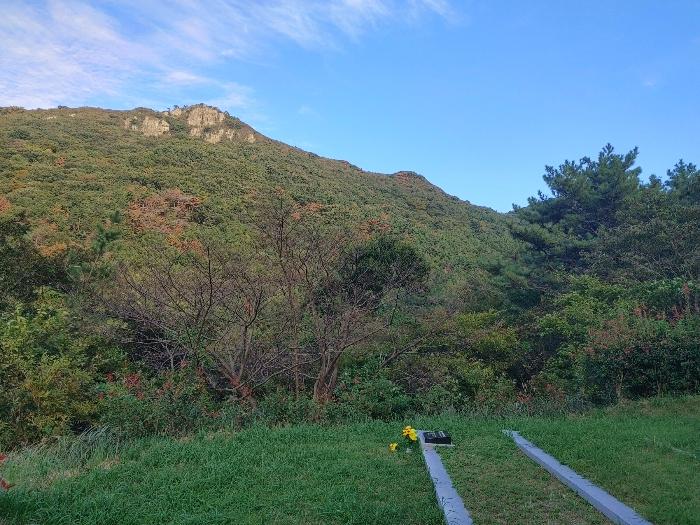 경상남도 거제시 남부면 저구리 295-1 답 경매 사진 2