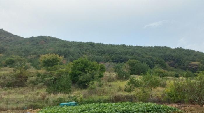 경상남도 거제시 남부면 저구리 315-1 전 경매 사진 10