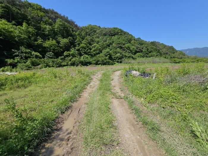 경상남도 밀양시 무안면 중산리 84 답 경매 사진 2