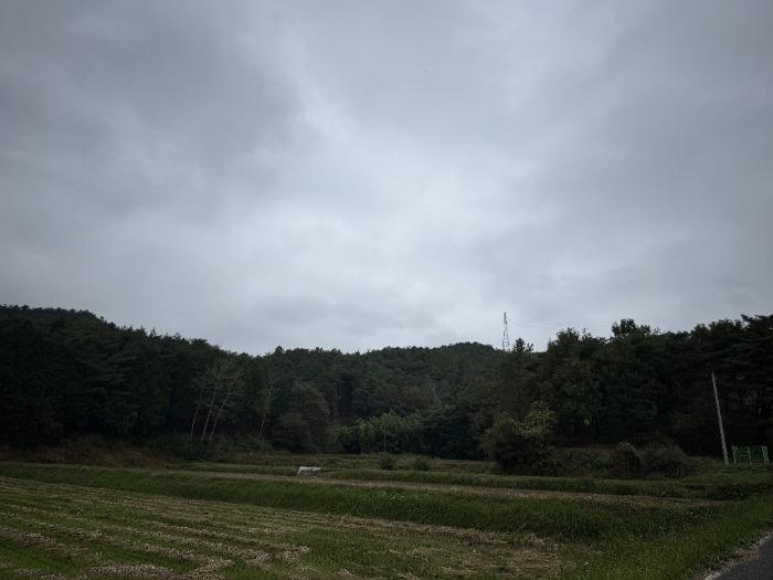 전라남도 보성군 미력면 화방리 1406-1 전 경매 사진 2