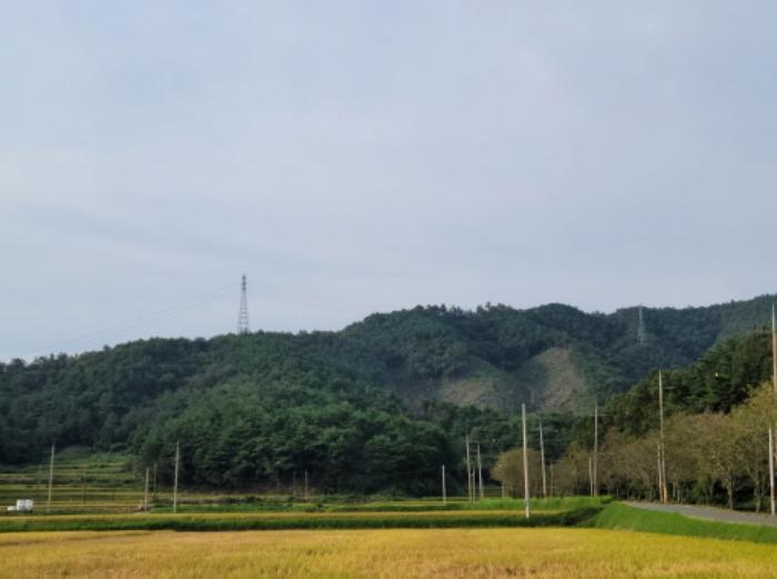 전라남도 보성군 미력면 화방리 1406-1 전 경매 사진 21
