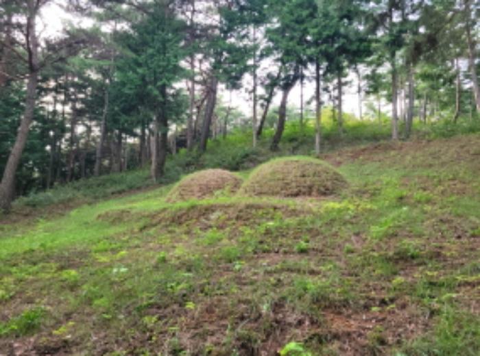 전라남도 보성군 미력면 화방리 1406-1 전 경매 사진 25