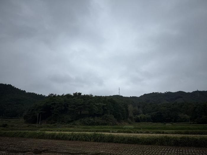 전라남도 보성군 미력면 화방리 1406-1 전 경매 사진 3