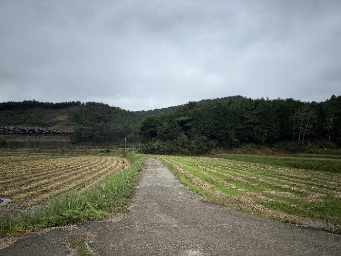 전라남도 보성군 미력면 화방리 1406-1 전 경매 사진 5