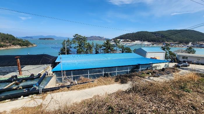 전라남도 완도군 노화읍 고막리 715 양어장 경매 사진 12