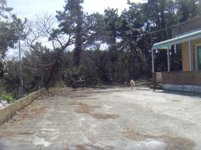 전라남도 완도군 노화읍 고막리 715 양어장 경매 사진 49