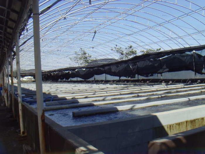 전라남도 완도군 노화읍 고막리 715 양어장 경매 사진 53