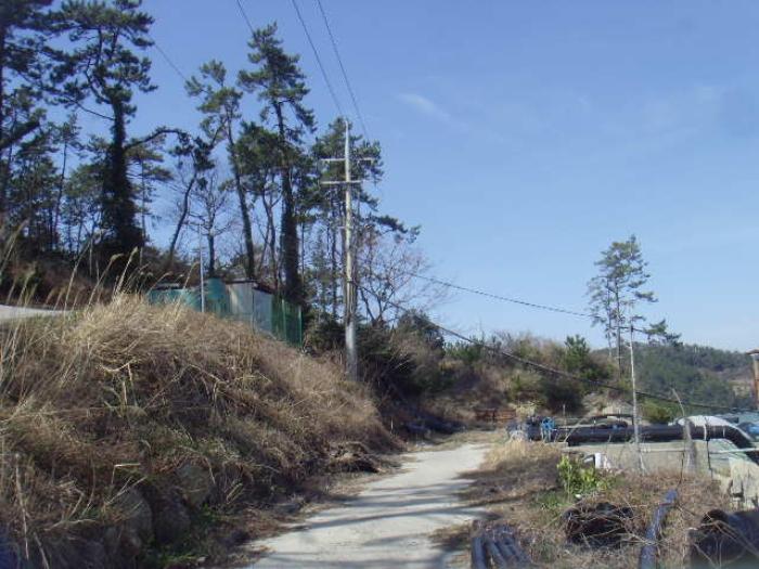 전라남도 완도군 노화읍 고막리 715 양어장 경매 사진 65