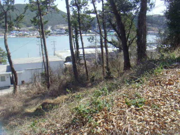 전라남도 완도군 노화읍 고막리 715 양어장 경매 사진 67