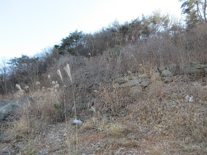 경상남도 거제시 문동동 339-6 임야 경매 사진 11