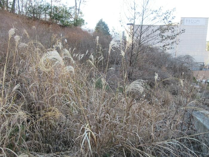 경상남도 거제시 문동동 339-6 임야 경매 사진 12