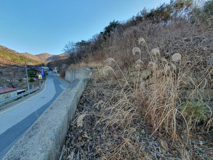 경상남도 거제시 문동동 339-6 임야 경매 사진 14