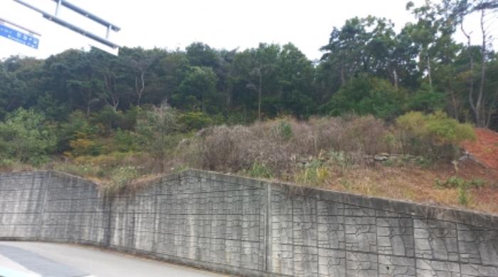 경상남도 거제시 문동동 339-6 임야 경매 사진 19