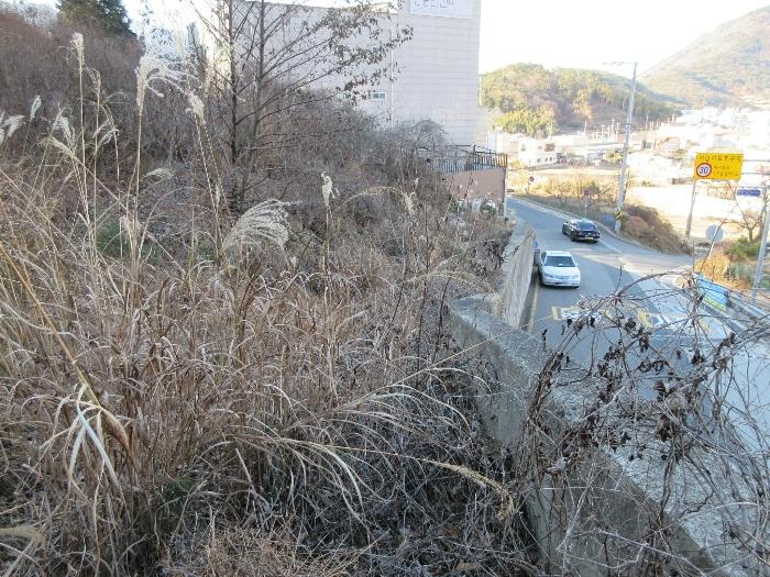 경상남도 거제시 문동동 339-6 임야 경매 사진 3