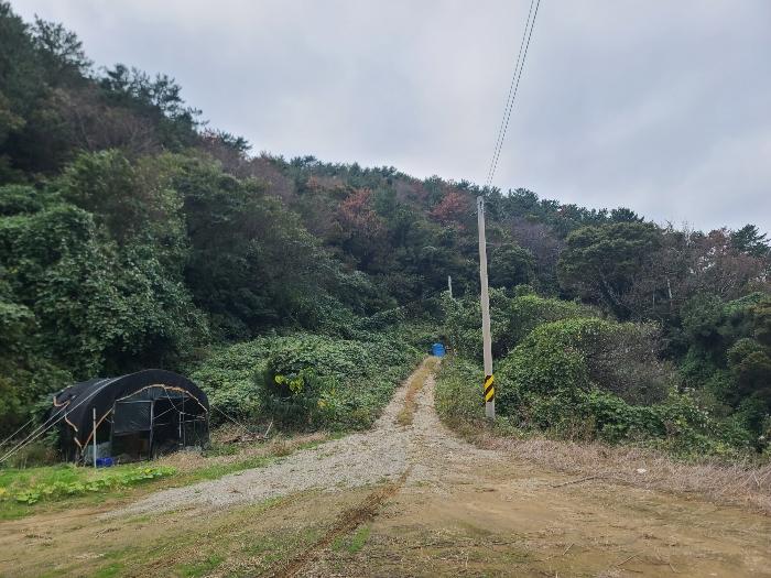경상남도 통영시 욕지면 서산리 592-4 전 경매 사진 5