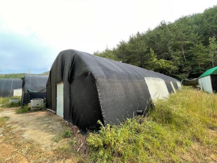 경상남도 거제시 둔덕면 학산리 693 답 경매 사진 4