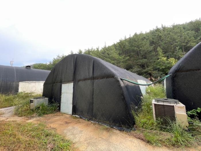 경상남도 거제시 둔덕면 학산리 693 답 경매 사진 5