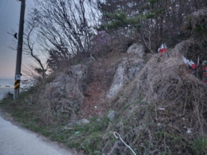 전라북도 부안군 변산면 도청리 577-30 기타토지 경매 사진 13