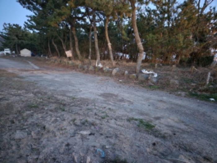 전라북도 부안군 변산면 도청리 577-30 기타토지 경매 사진 25