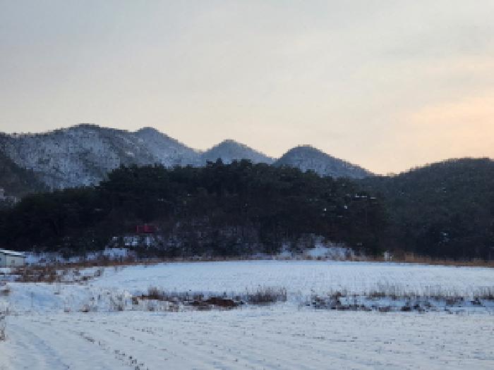 전북특별자치도 부안군 하서면 백련리 7-51 근린시설 경매 사진 10