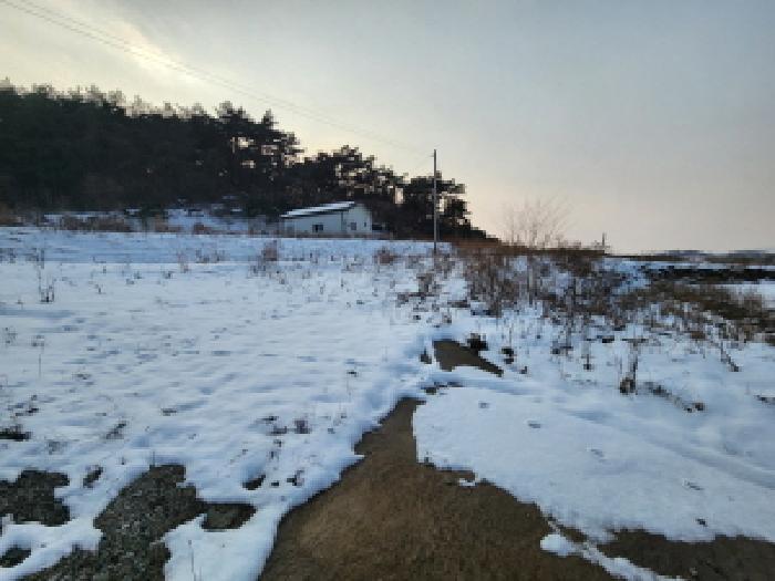 전북특별자치도 부안군 하서면 백련리 7-51 근린시설 경매 사진 13