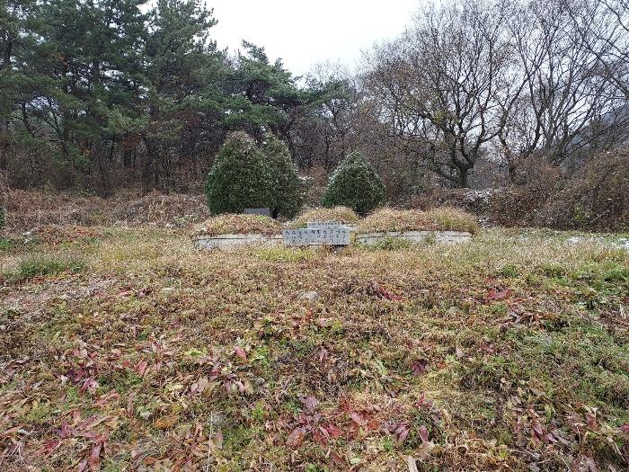 전북특별자치도 고창군 대산면 상금리 37 전 경매 사진 4
