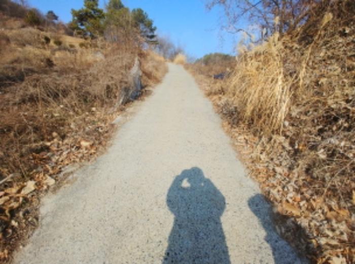충청남도 금산군 제원면 길곡리 272-1 전 경매 사진 13