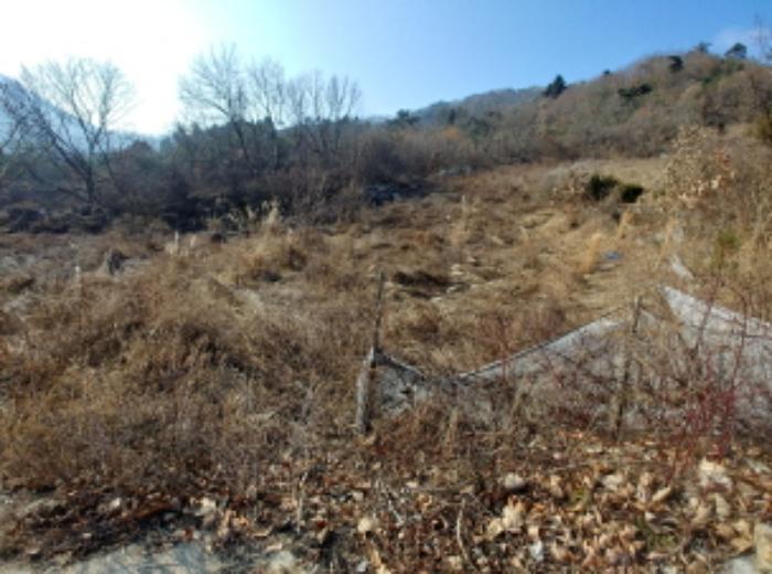 충청남도 금산군 제원면 길곡리 272-1 전 경매 사진 14