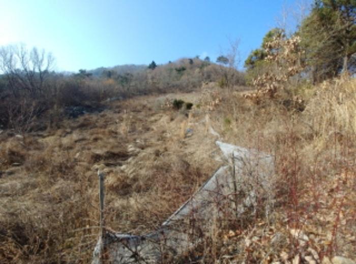 충청남도 금산군 제원면 길곡리 272-1 전 경매 사진 16