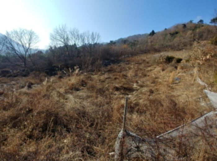 충청남도 금산군 제원면 길곡리 272-1 전 경매 사진 17