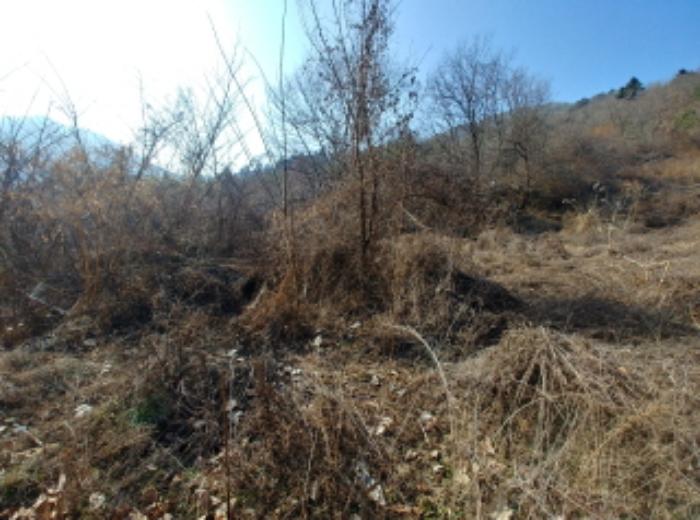 충청남도 금산군 제원면 길곡리 272-1 전 경매 사진 18