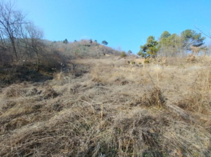 충청남도 금산군 제원면 길곡리 272-1 전 경매 사진 19