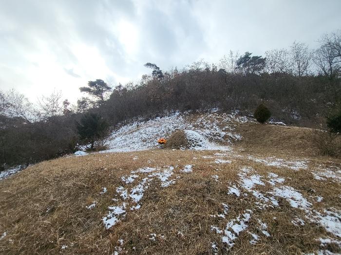 충청남도 금산군 제원면 길곡리 272-1 전 경매 사진 2