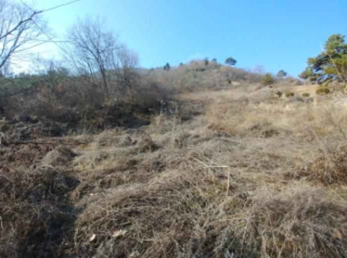 충청남도 금산군 제원면 길곡리 272-1 전 경매 사진 20