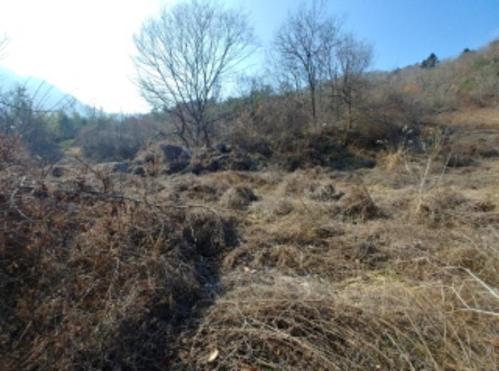 충청남도 금산군 제원면 길곡리 272-1 전 경매 사진 21
