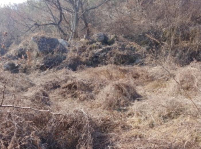 충청남도 금산군 제원면 길곡리 272-1 전 경매 사진 22
