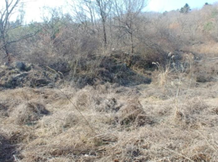 충청남도 금산군 제원면 길곡리 272-1 전 경매 사진 23