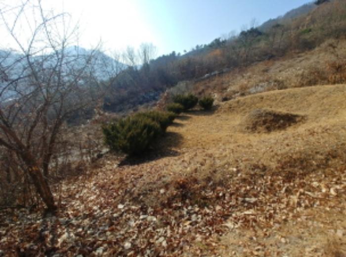 충청남도 금산군 제원면 길곡리 272-1 전 경매 사진 25