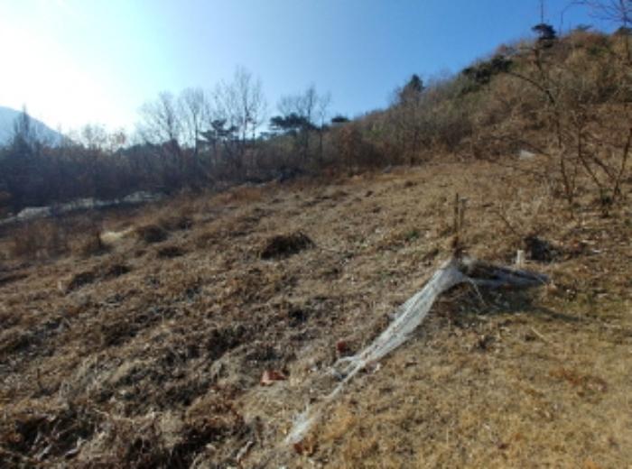 충청남도 금산군 제원면 길곡리 272-1 전 경매 사진 26