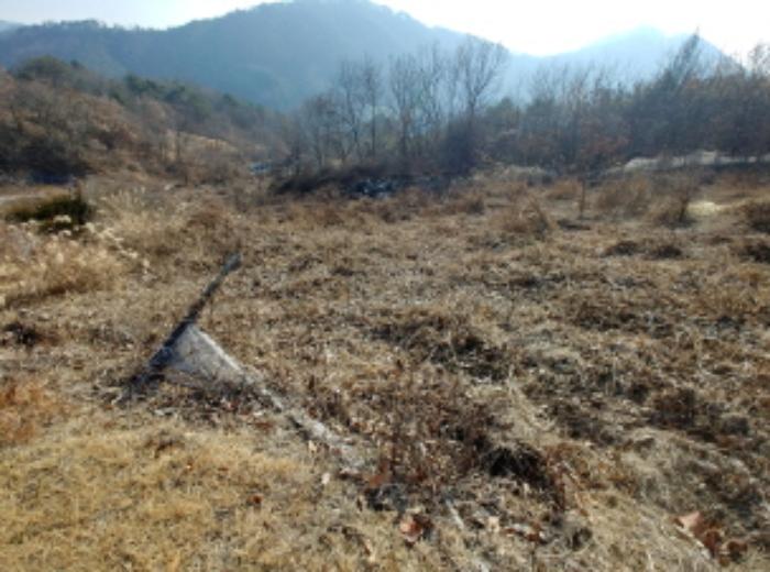충청남도 금산군 제원면 길곡리 272-1 전 경매 사진 27