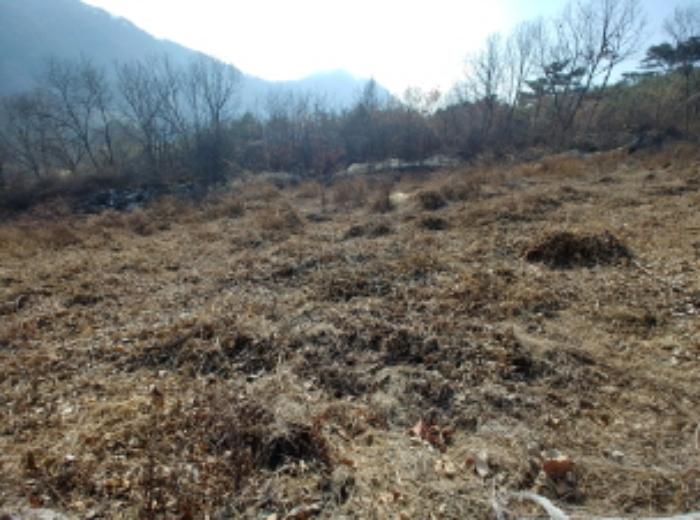 충청남도 금산군 제원면 길곡리 272-1 전 경매 사진 28