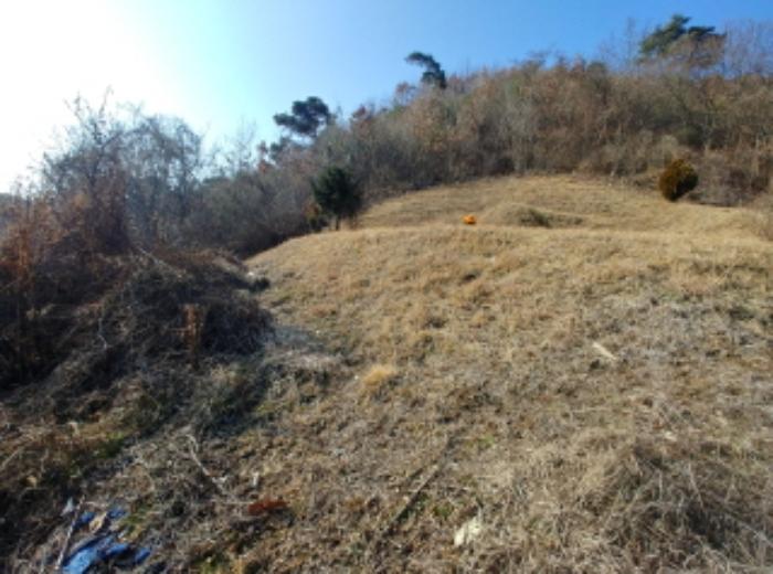 충청남도 금산군 제원면 길곡리 272-1 전 경매 사진 29