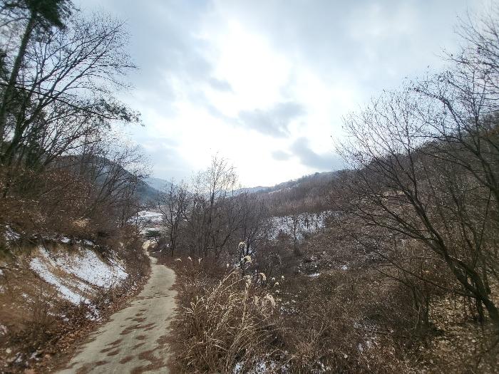충청남도 금산군 제원면 길곡리 272-1 전 경매 사진 3
