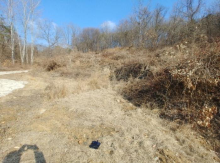 충청남도 금산군 제원면 길곡리 272-1 전 경매 사진 31