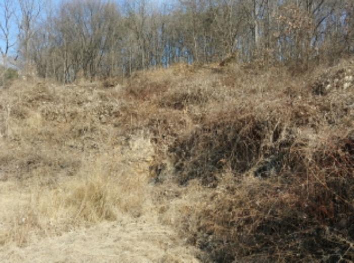 충청남도 금산군 제원면 길곡리 272-1 전 경매 사진 32